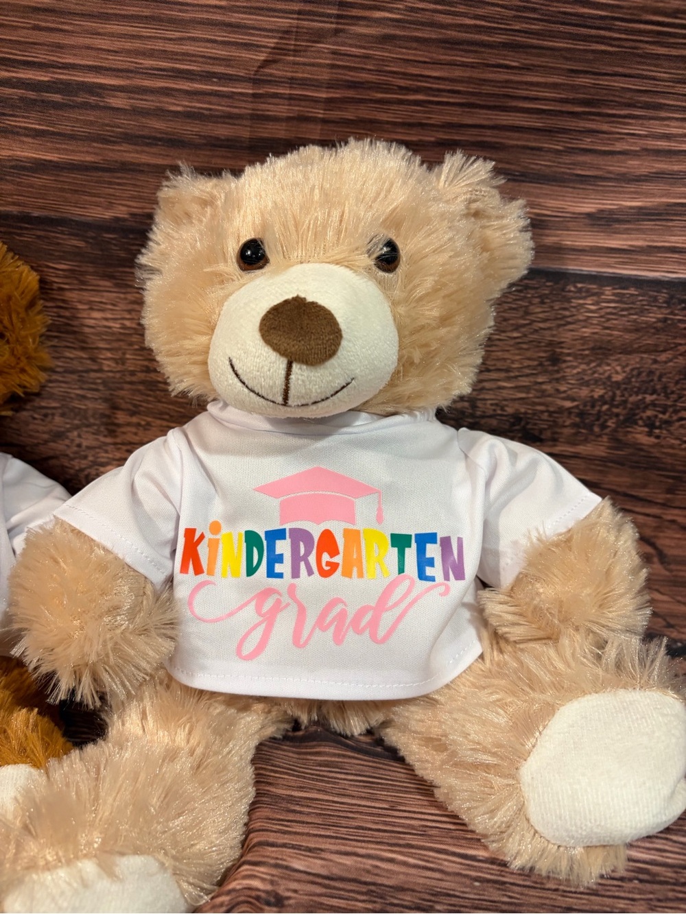 Kindergarten Grad Teddy Bear with Rainbow Print